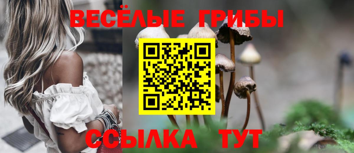 Псилоцибиновые грибы ЛСД  Псилоцибиновые грибы MAGIC MUSHROOMS  купить наркоту  Сергиев Посад  Вход с VPN 